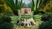 Cool Fresh Aloe - Fresh Routine