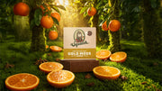 Gold Moss - Easy Care