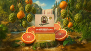 Grapefruit IPA - Daily Fresh