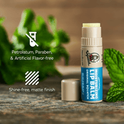 Lip Balm 4-Pack - Clean Bundle