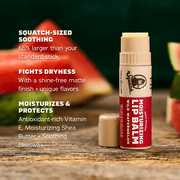 Lip Balm 4-Pack - Home Choice
