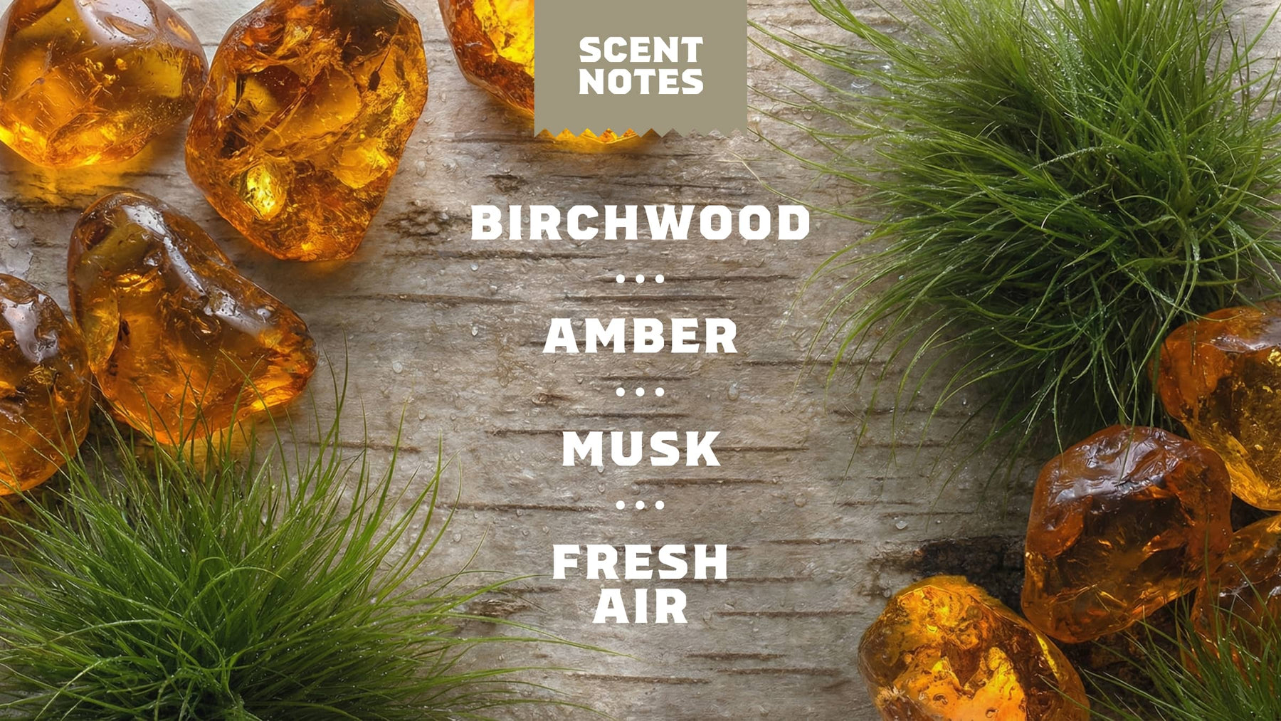 Birchwood Breeze Invisible Glide Deodorant - Home Glow