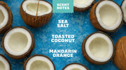 Coconut Castaway - Cozy Glow