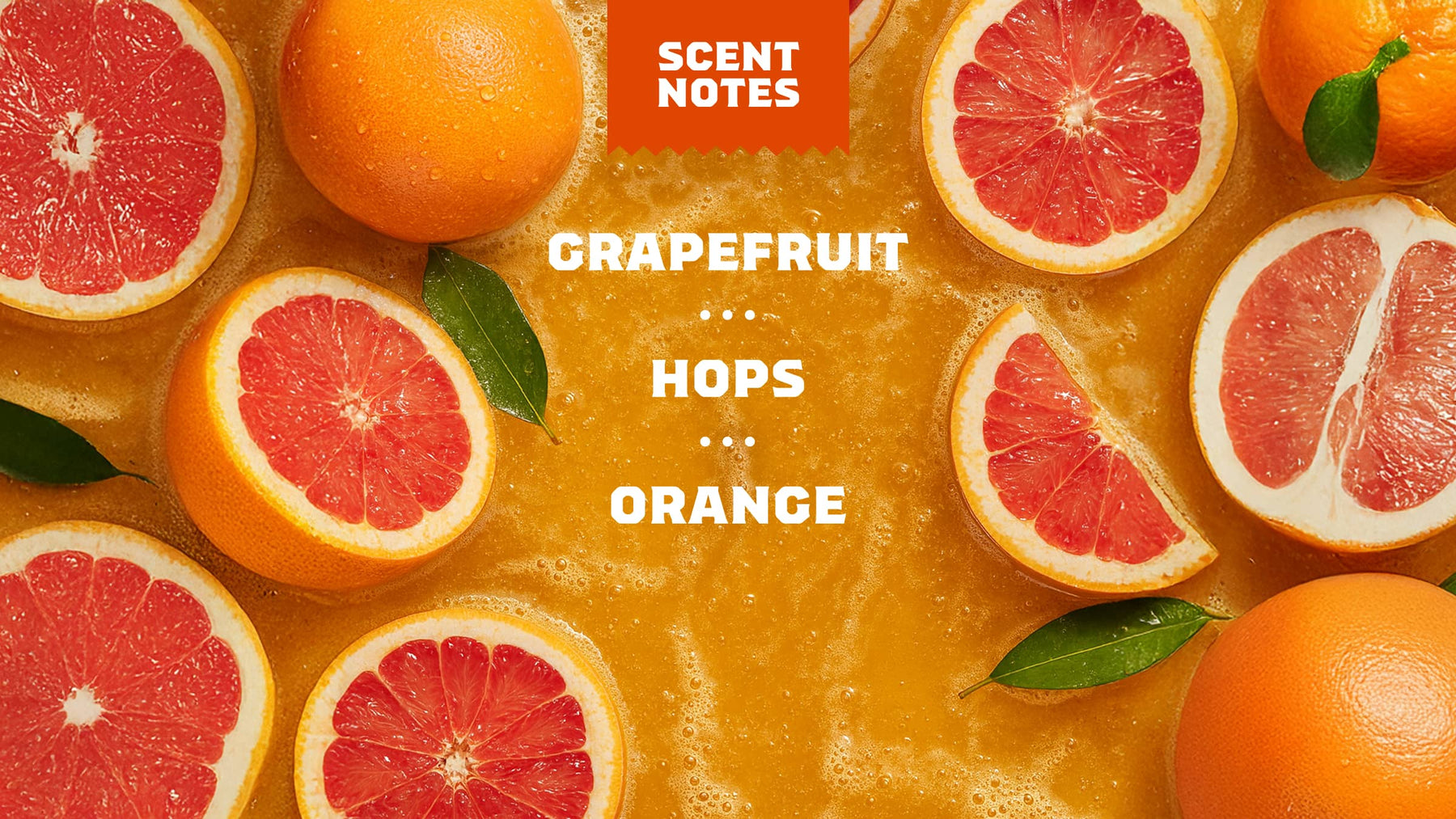 Grapefruit IPA - Daily Fresh