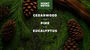 Conditioning Beard Oil & Cologne Woodland Pine - Daily Clean