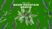Alpine Sage - Warm Blend