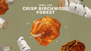 Birchwood Breeze Deodorant - Clean Finish