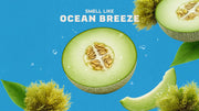 Coastal Mist - Bright Scent