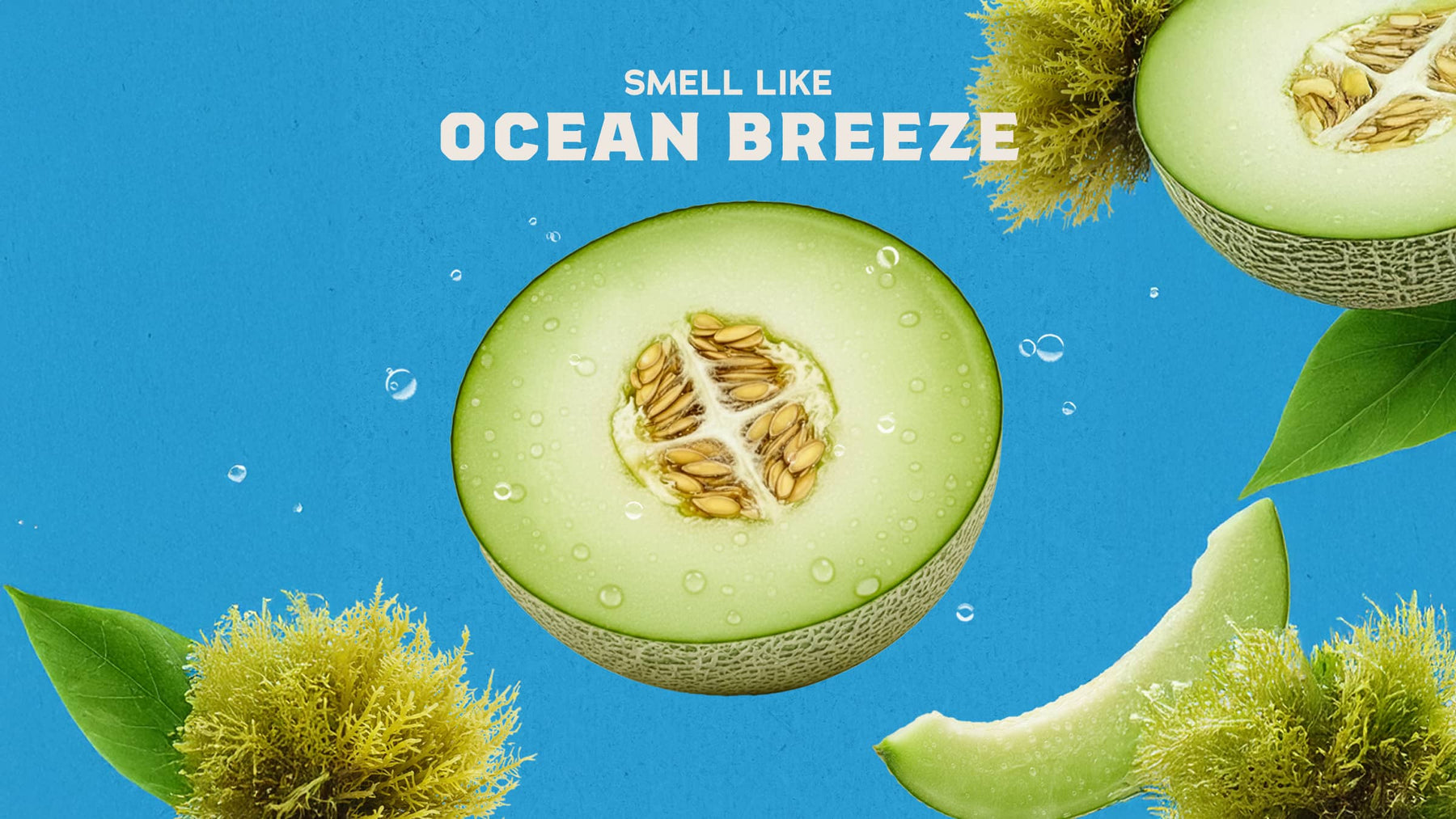 Coastal Mist Spray Deodorant - Cozy Glow