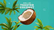 Coconut Castaway - Cozy Glow