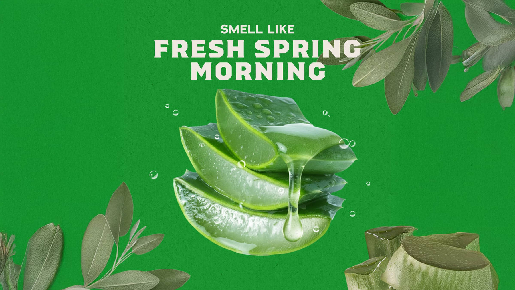 Cool Fresh Aloe Conditioner - Easy Spritz