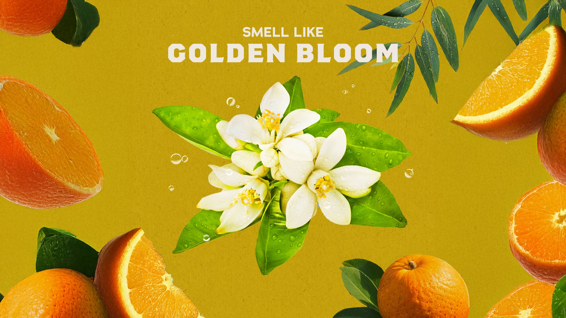 Mountain Meadow - Smooth Touch