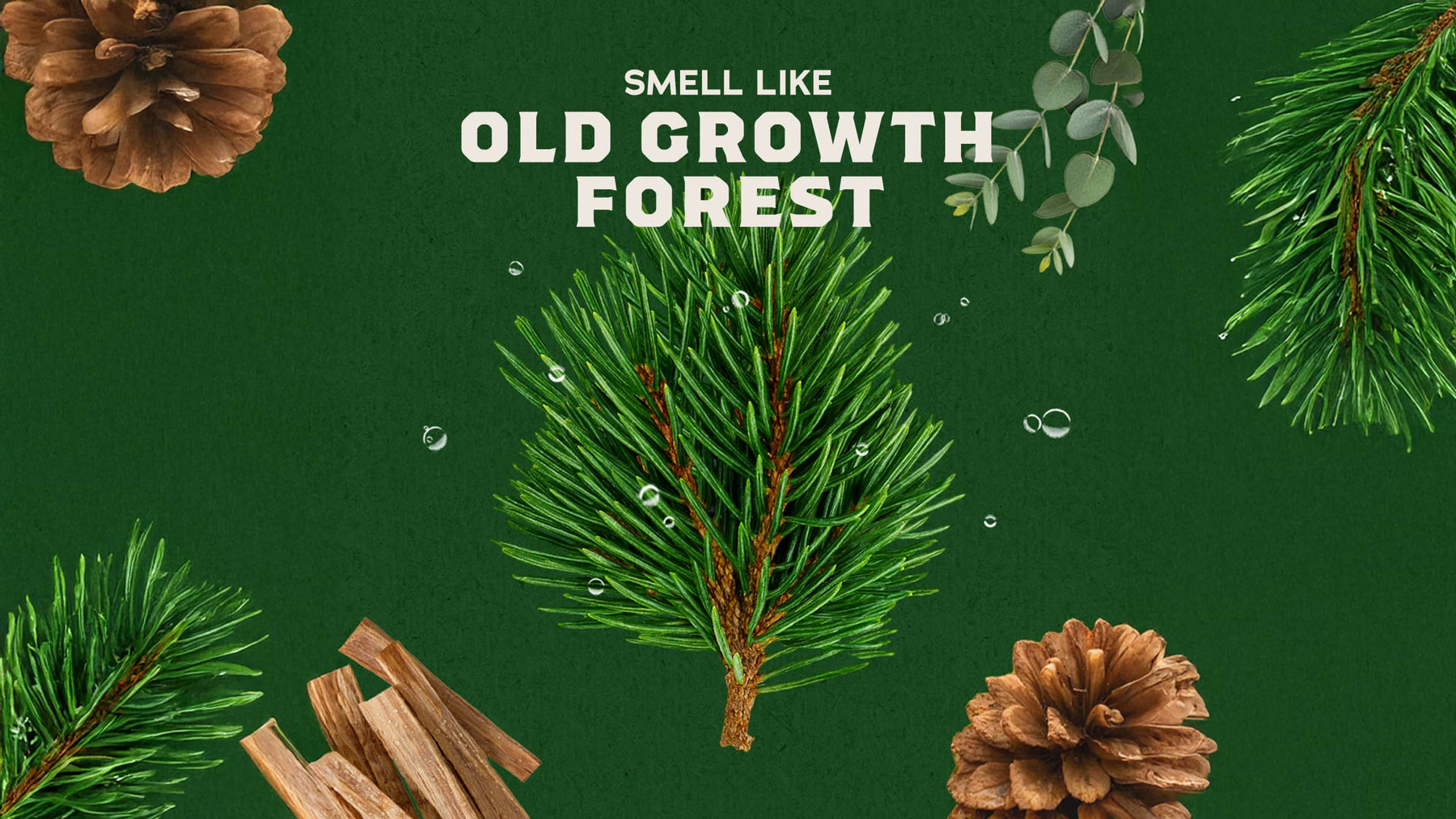 Pine Tar - Active Fresh
