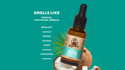 Beard Oil 3-Pack - Travel Edit